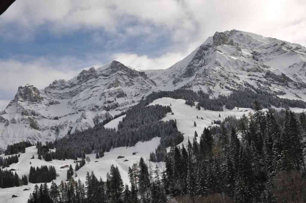 Chalet Allmegrat Адельбоден Экстерьер фото